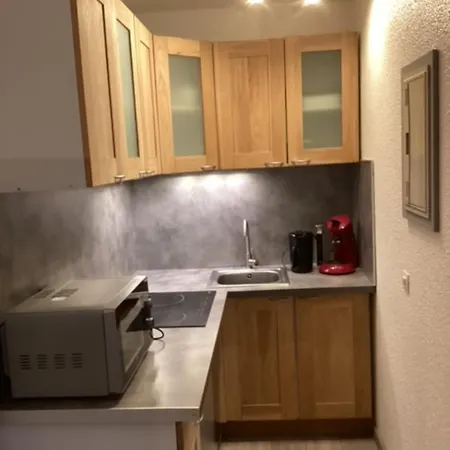 Donna Furnished Flat Appartamento Chamonix